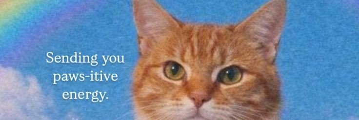 nongRYUSR's profile banner image