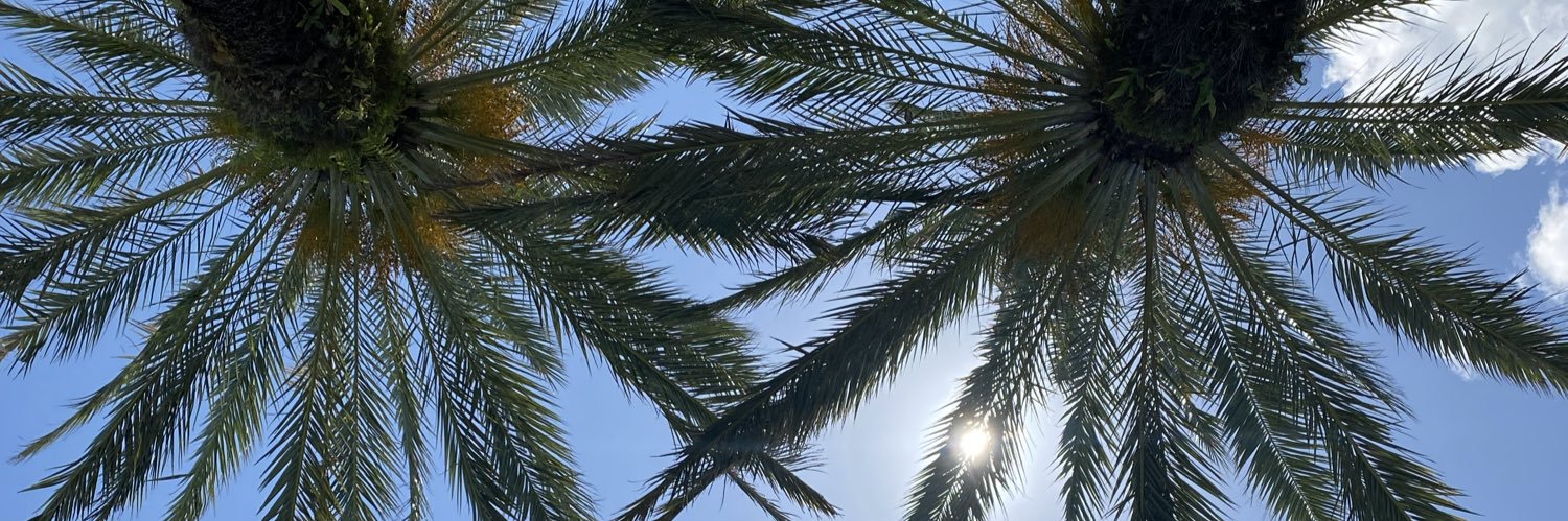 ChampagnePapito banner