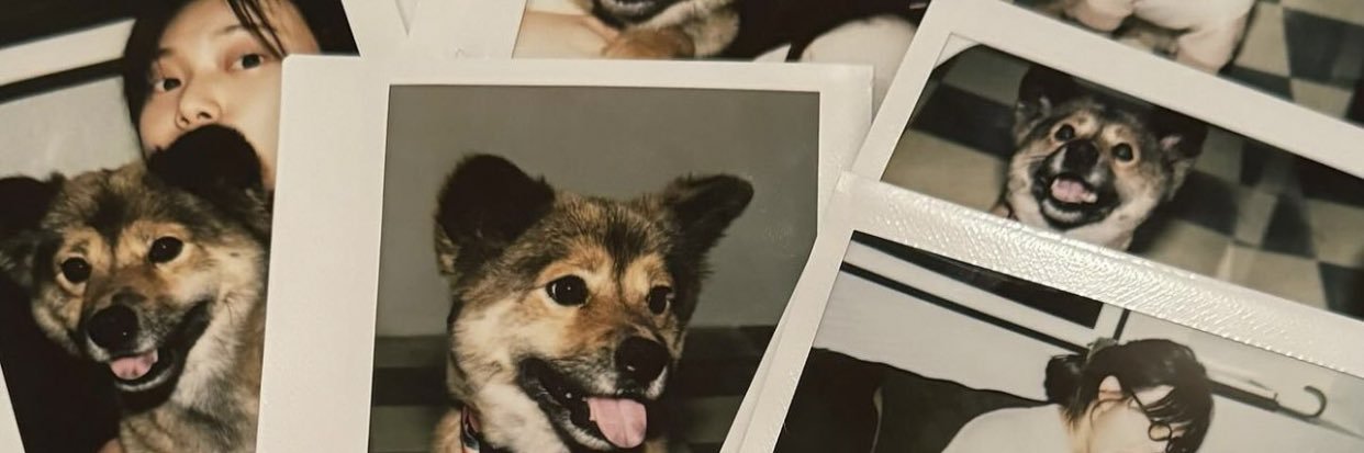 mica banner