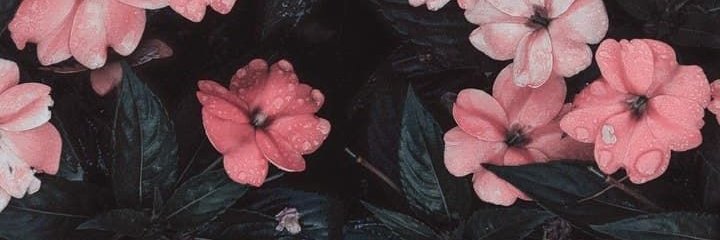 Hirosh99's profile banner image