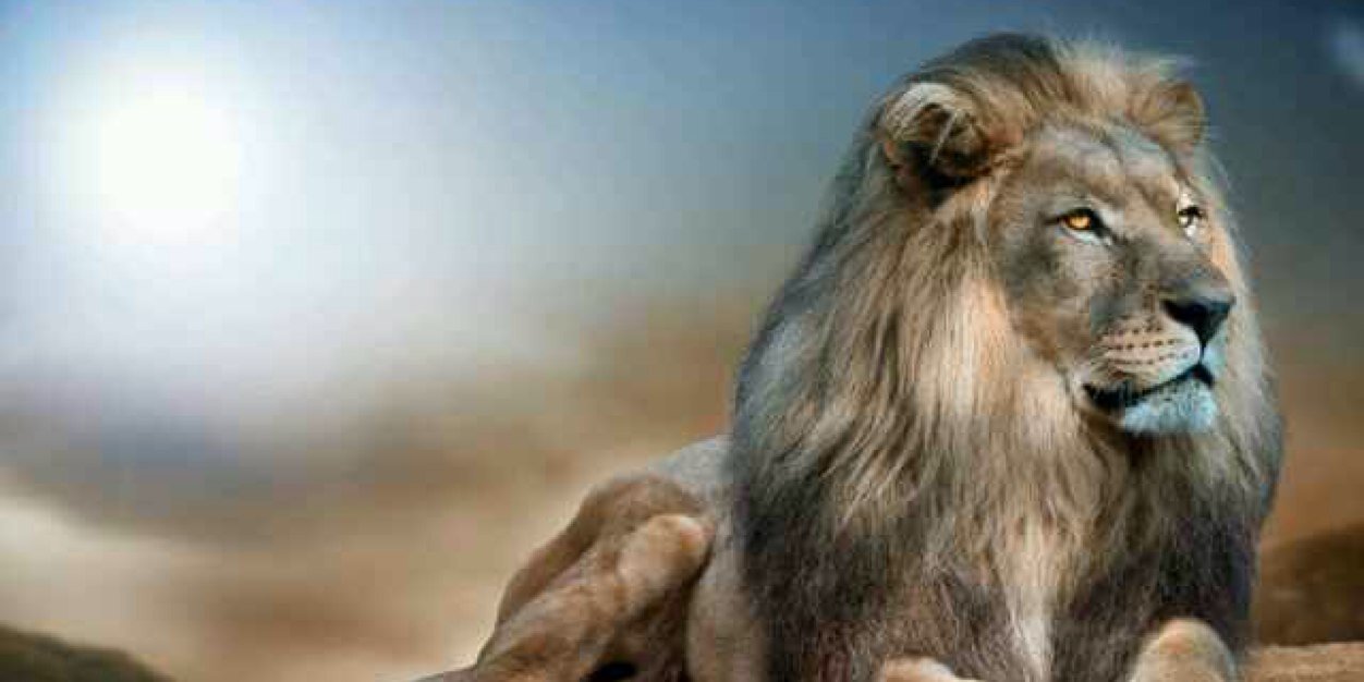 AzYazidi's profile banner image