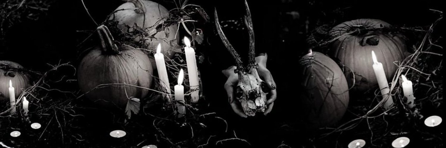 Disgusting Clips banner