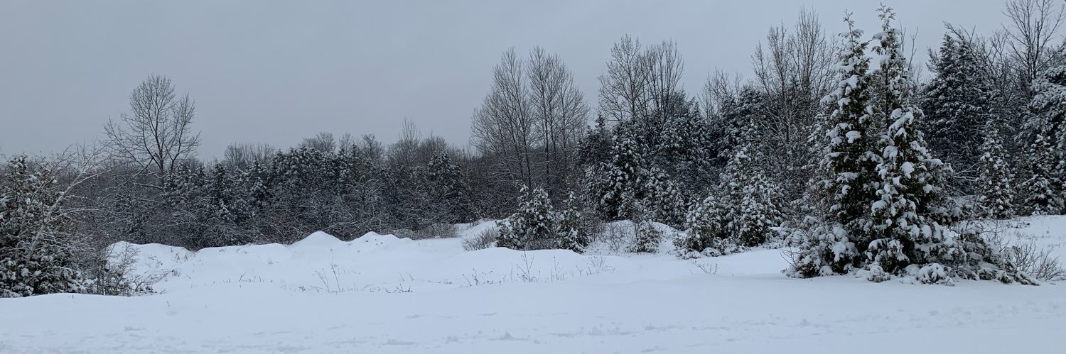 AlisonSchill's profile banner image