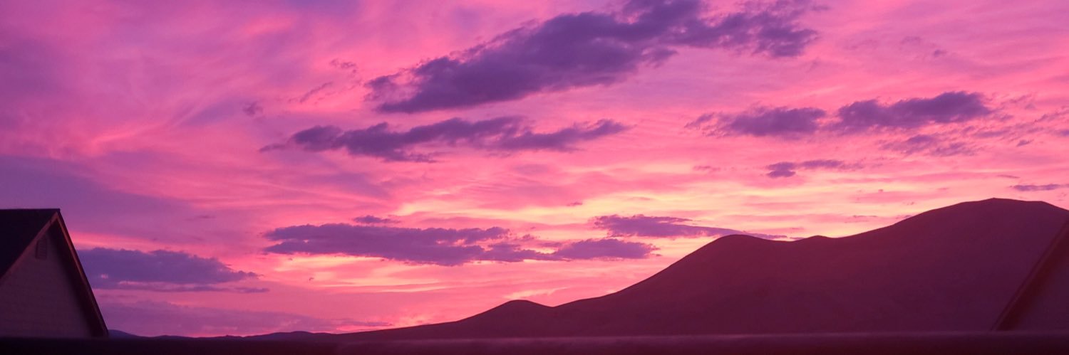 porkryns's profile banner image