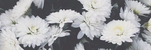 tsar3333's profile banner image