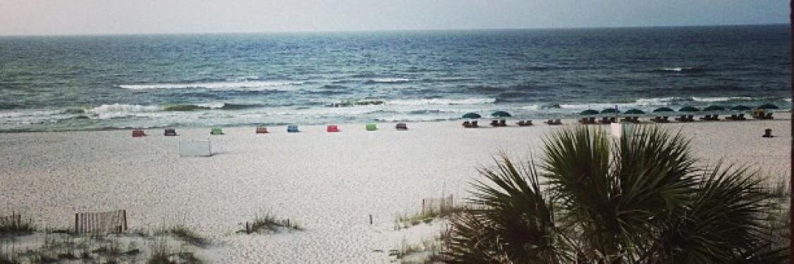 allisonskiff's profile banner image