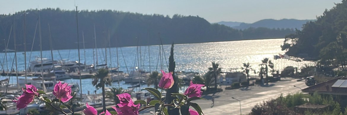 ghalloia's profile banner image