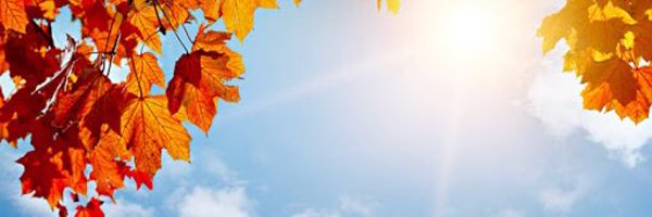 DailyWaffle Profile Banner