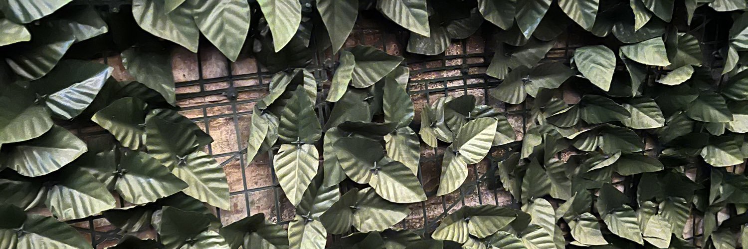 ericajenee_'s profile banner image