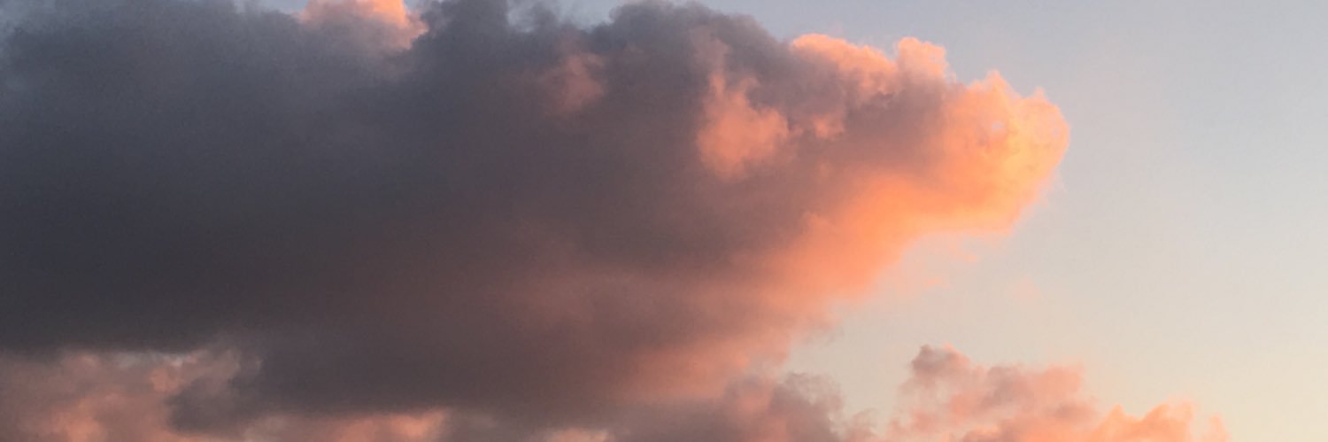 melibea20's profile banner image