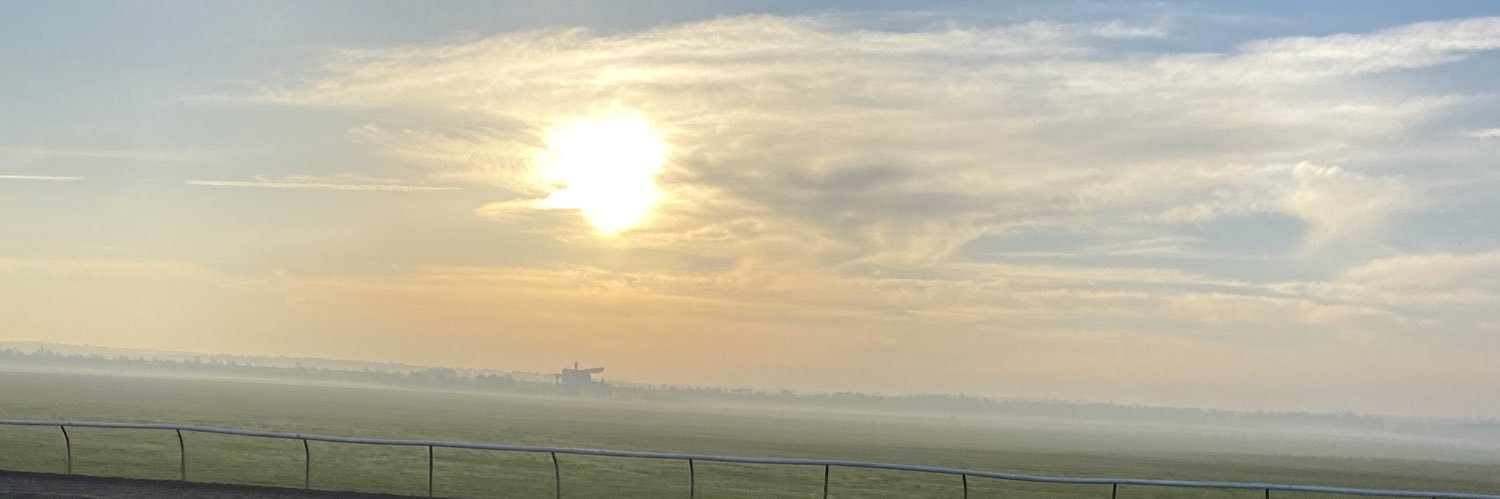 Verity MacMahon banner