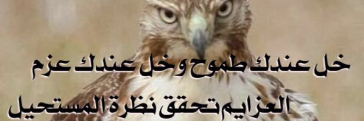 saif89875's profile banner image