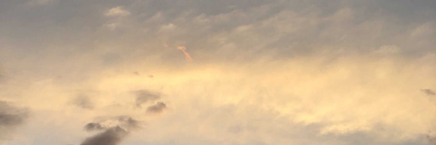 giiotg's profile banner image