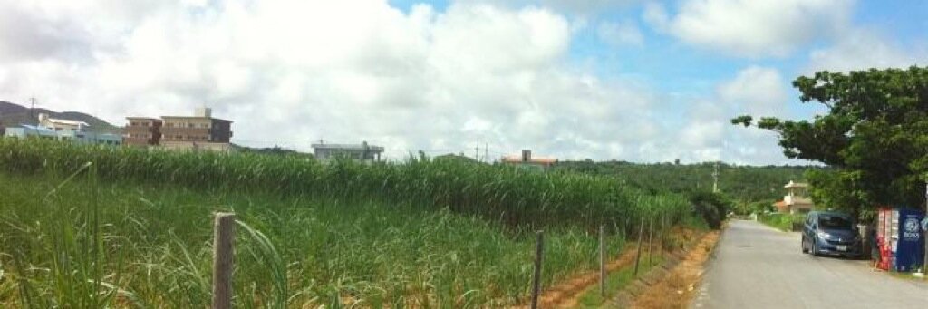 赤い車 Official banner