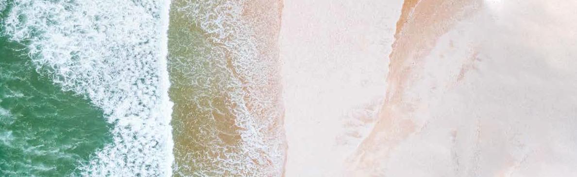 David McQuarrie banner