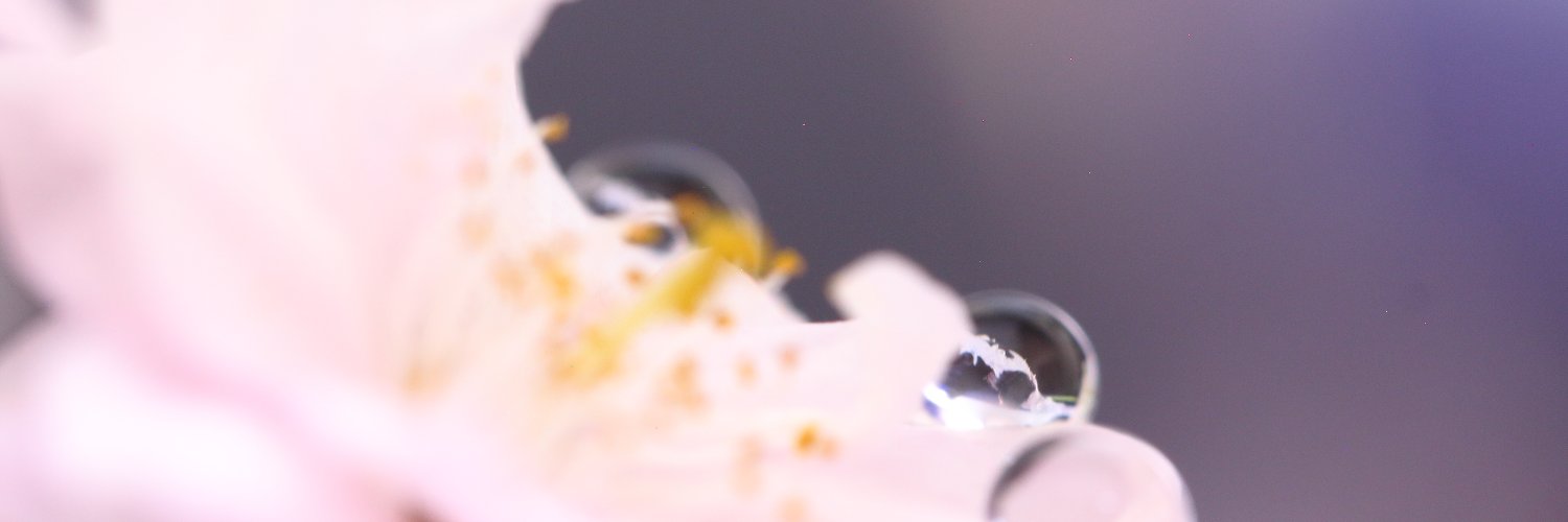 💫三浦🍧😋✨ banner