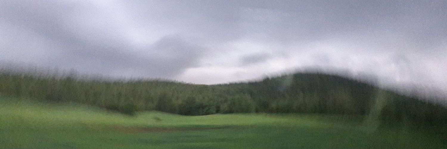 ozenemelozen's profile banner image
