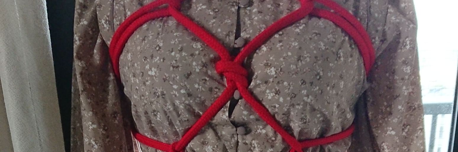 HΛL🌙╰⋃╯ banner