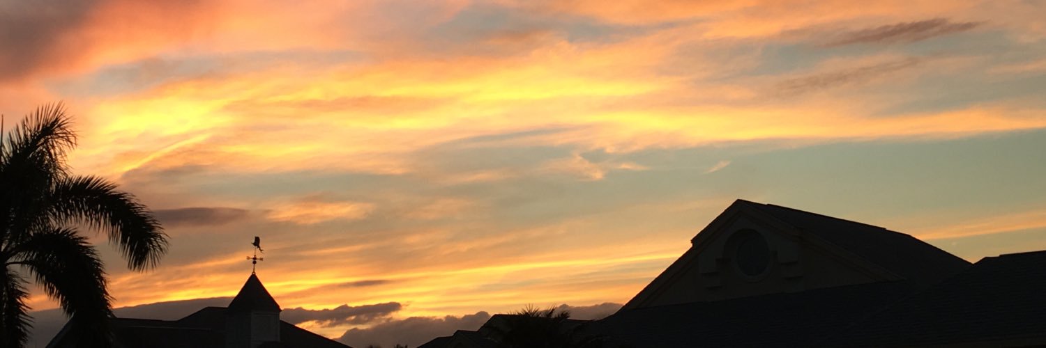LRaeFineman's profile banner image