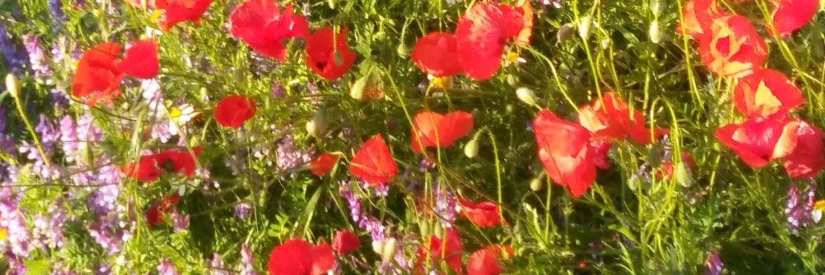 lovered1968's profile banner image
