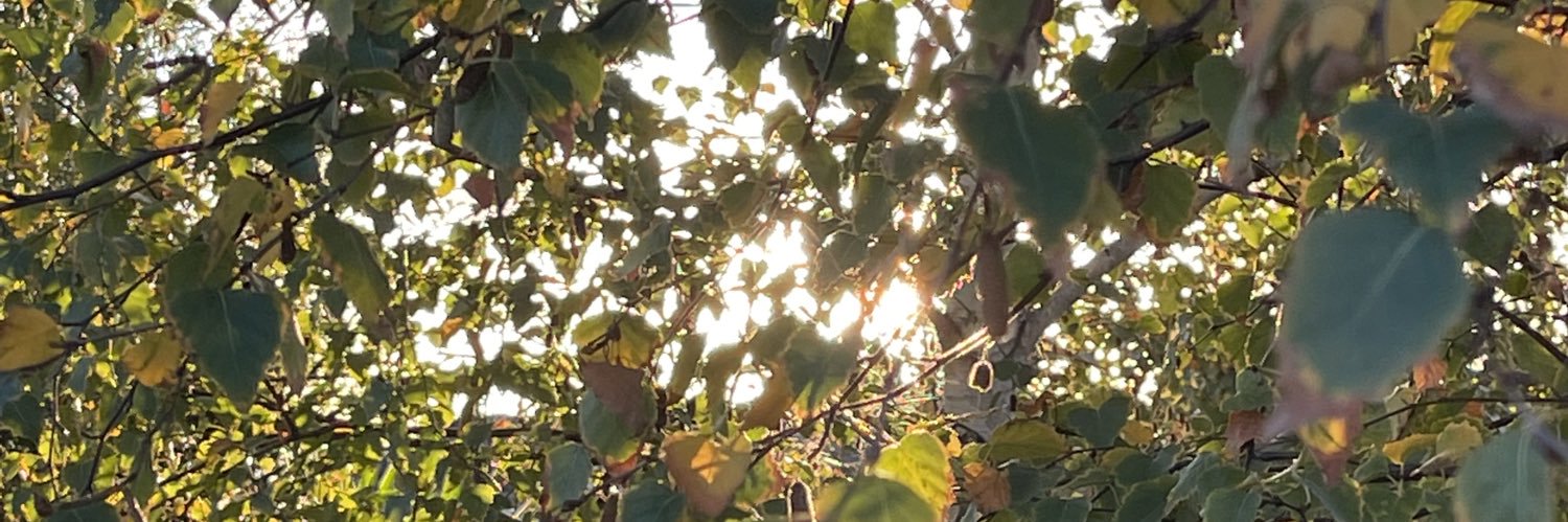 n1212's profile banner image