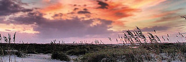 GradypaulDavis's profile banner image