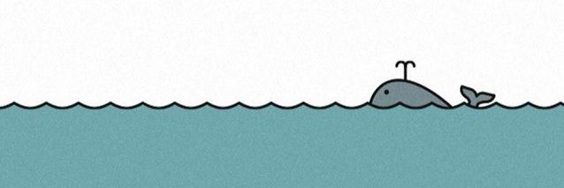 sjwang28's profile banner image