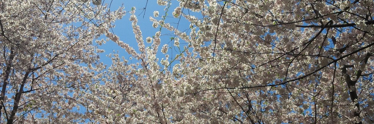 Barnini Chakraborty banner