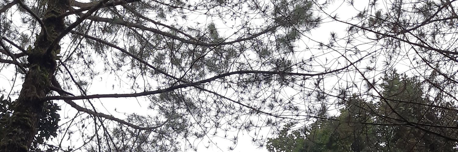 wiyansyahh's profile banner image