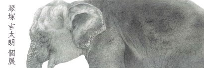 kichitarou_k's profile banner image