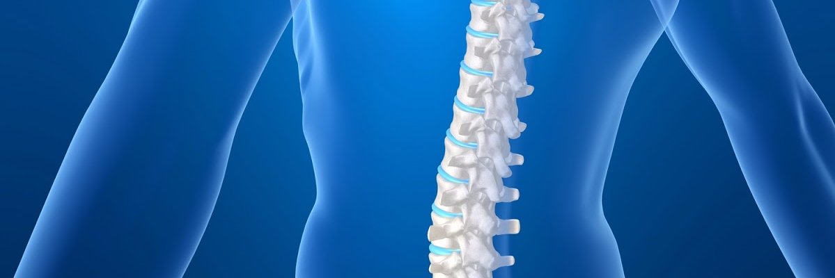 corktherapy's profile banner image