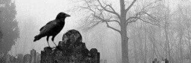 fluwermum's profile banner image