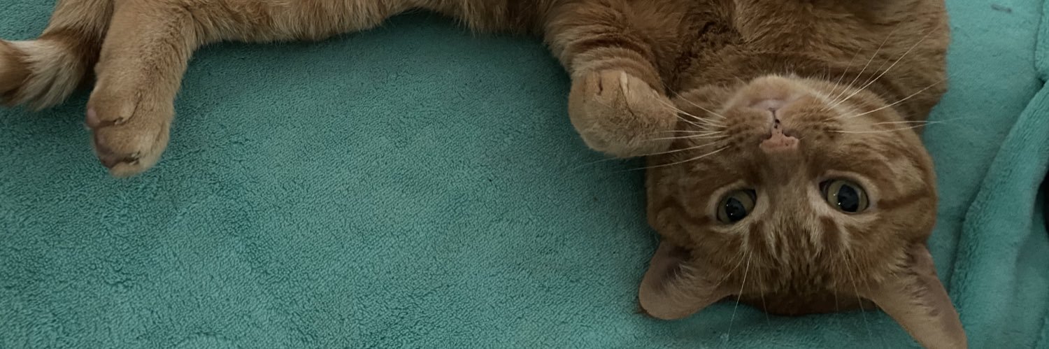 SamantharStyles's profile banner image