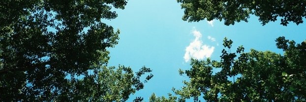 ElayneRuane's profile banner image