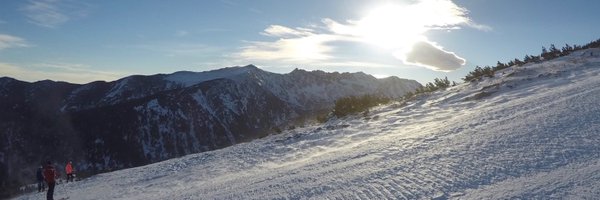 StevenBeckerleg Profile Banner