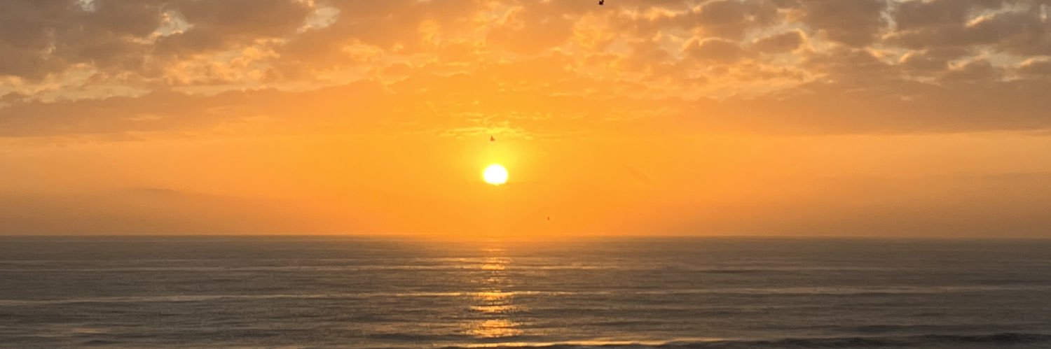 epolyak's profile banner image