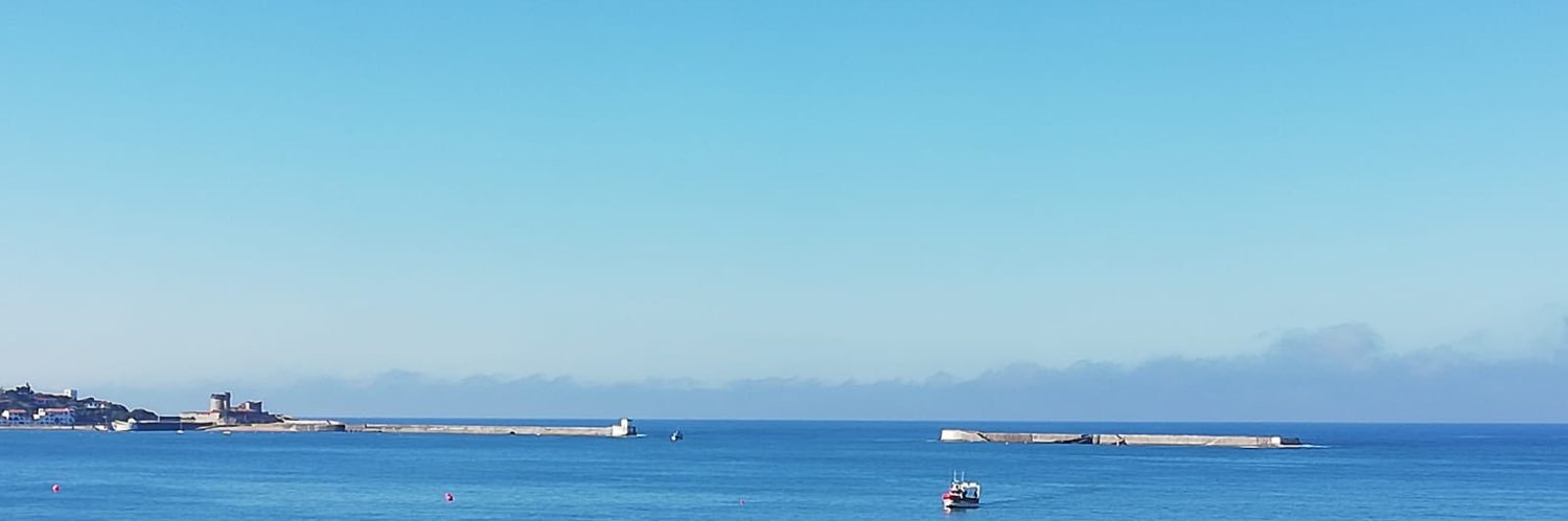 ElisAstier's profile banner image