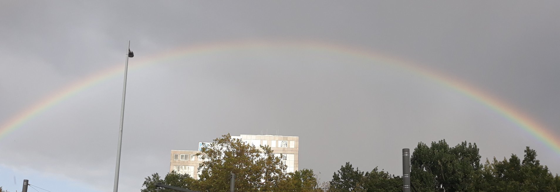 SuzanneHberg's profile banner image