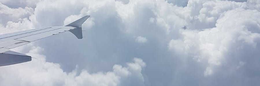 Roarnetz's profile banner image