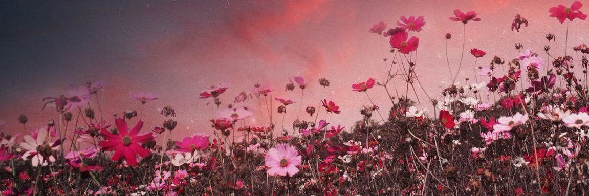Atarya_'s profile banner image