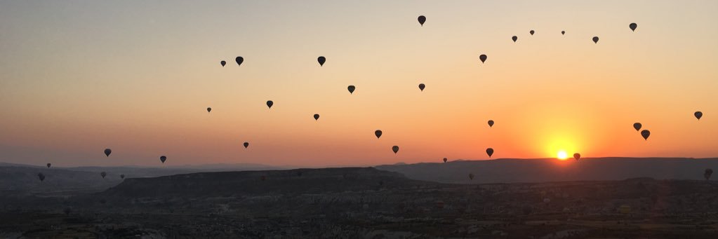 nlgnline's profile banner image