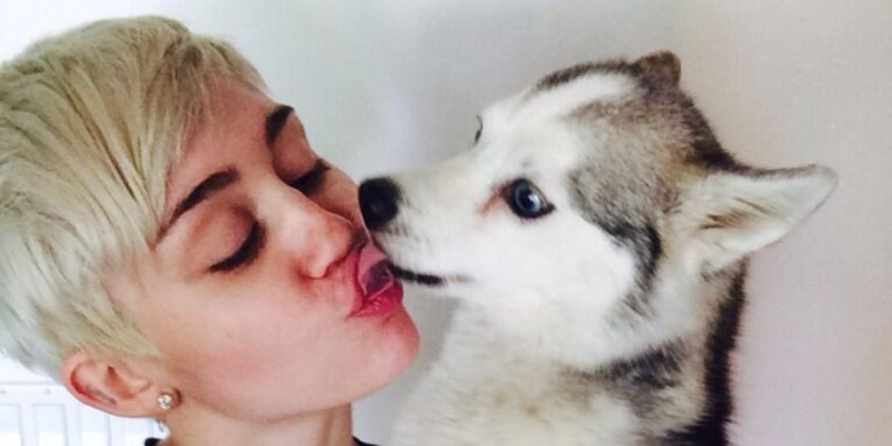 smilerfede22's profile banner image