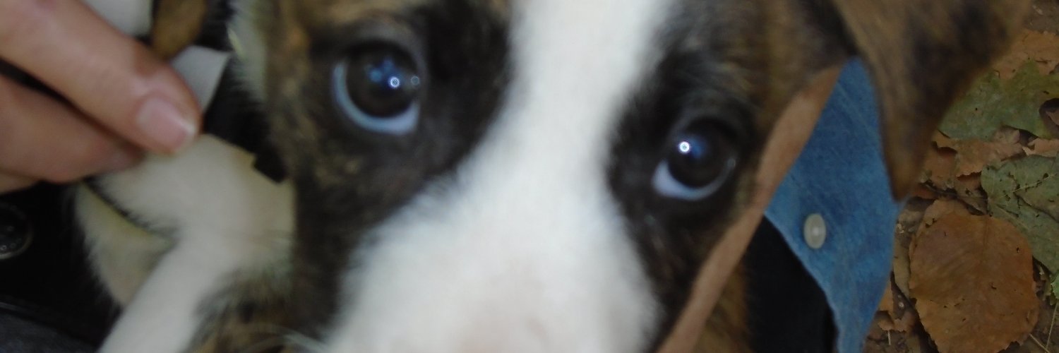 jakesdaddy0's profile banner image