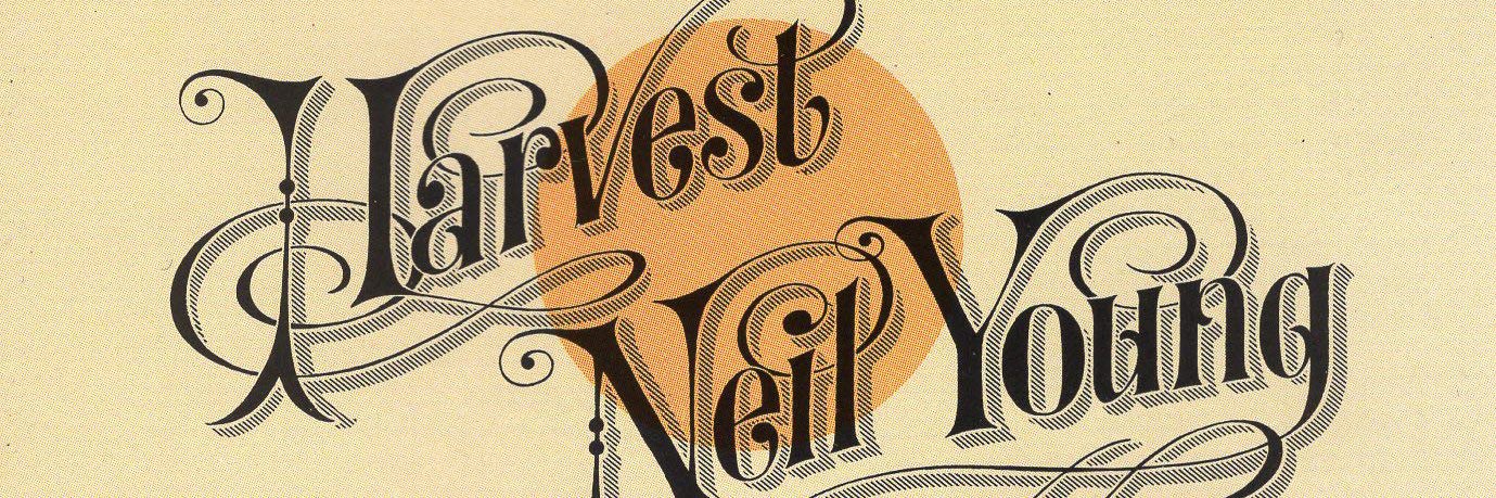 cinnamon girl banner