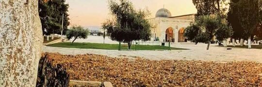 rihamradad's profile banner image