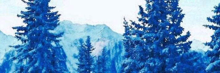 niallftjasmin's profile banner image