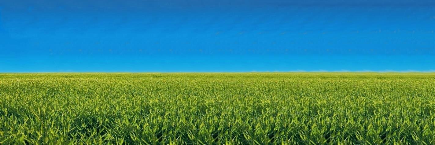 LegendsBank's profile banner image