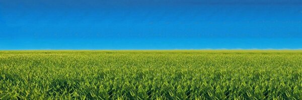 LegendsBank Profile Banner