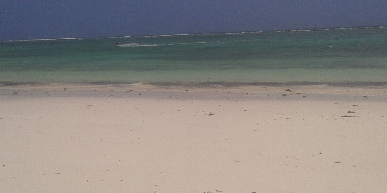 wanjizzi's profile banner image