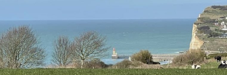 Marie-Agnès Poussier-Winsback banner